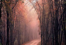 包含今晨欧冠传出新动向，马德里竞技绝杀压哨，管理层表态——态度坚定，轮换策略成焦点的词条